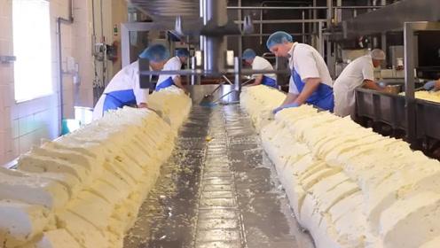 与奶酪生产厂家签订代理记账合作